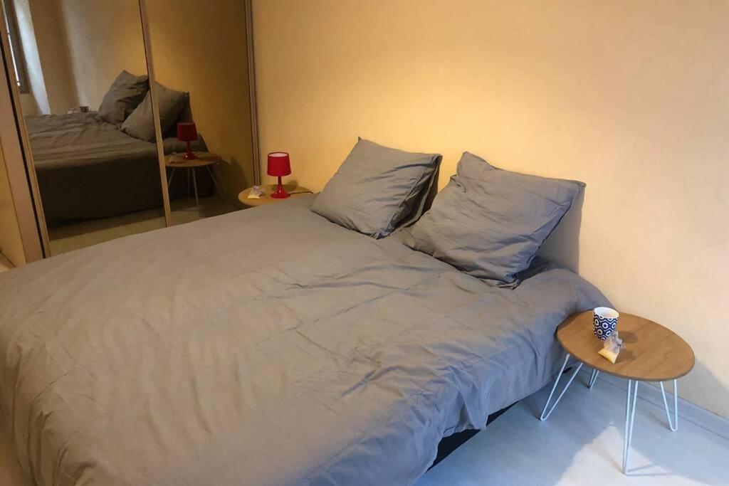 Апартаменти F3 - Neuf - 4/6 P - Lits King Size - Wifi - Cour Le Puy-en-Velay Екстер'єр фото
